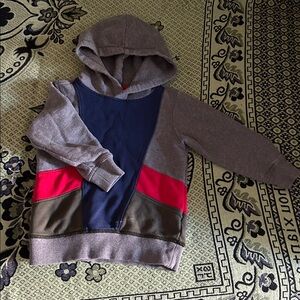Hanna Andersson Gray and Red Hoodie